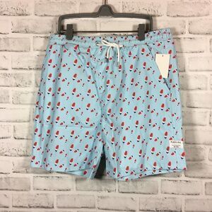 Public Art Swim Shorts Green Size L Drawstring Liner Elastic Popsicle Print NWT